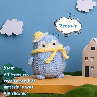 UzecPk Beginner Crochet Kit, Crochet Animal Kit with Yarn, Complete Crochet  Kit for Adults and Kids Craft with Instruction and Video Tutorials
