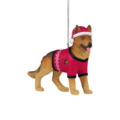 Louisville Cardinals FOCO Printed Dog Sweater