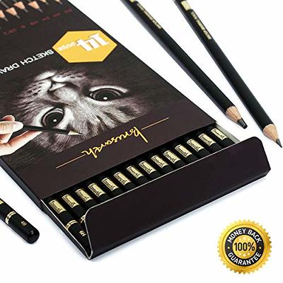 Brusarth Professional Drawing Sketching Pencil Set - 14 Pieces Graphite  Pencils, Ideal for Drawing Art, Sketching, Shading, Artist Pencils for  Beginners & Pro Artists - Yahoo Shopping