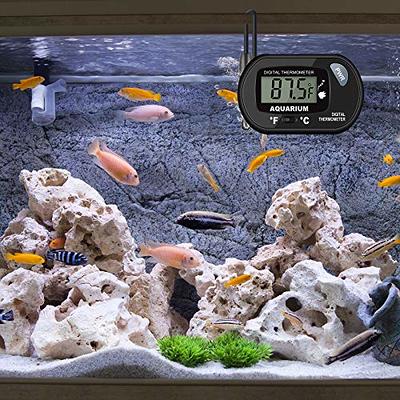 AQUANEAT 3 Pack Aquarium Thermometer, Reptile Thermometer, Fish Tank  Thermometer, Digital Thermometer, Terrarium Water Temperature Test