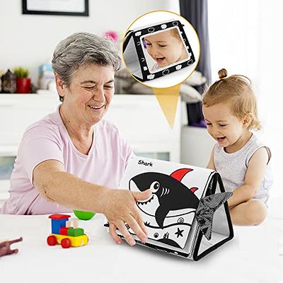 teytoy Tummy Time Pillow with Crinkle Mat & Teethers, Black and White High  Contrast Baby Toys with Mirror, Montessori Sensory Crawling Toy for Infant