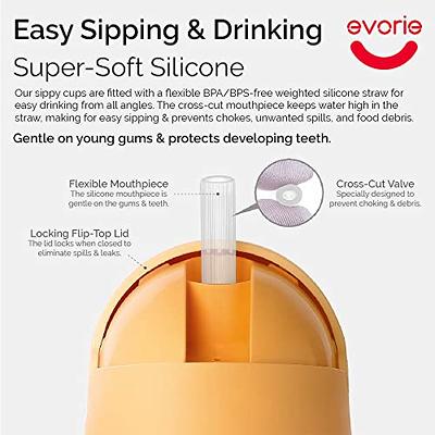 Evorie Tritan Baby Sippy Cup Weighted Gravity Straw Toddler Beginner  Training Bottle, 7 Oz Leakproof Award Winning Infant Water Bottle with  Handles for 6 months above - Yahoo Shopping