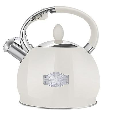  YSSOA Stainless Steel Whistling Tea Kettle, 3.17 Quart