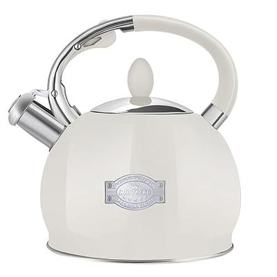 YSSOA Stainless Steel Whistling Tea Kettle, 3.17 Quart, Teapot for