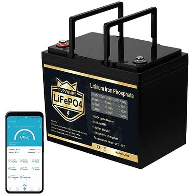 LiTime 12V 100Ah LiFePO4 Lithium Deep Cycle Battery, Built-in 100A