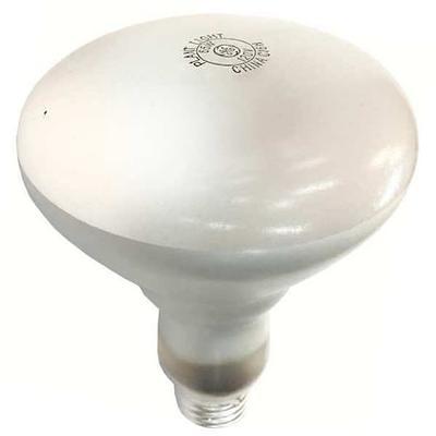 Official LG 6912W1Z004B Light Bulb - 120V 30W –