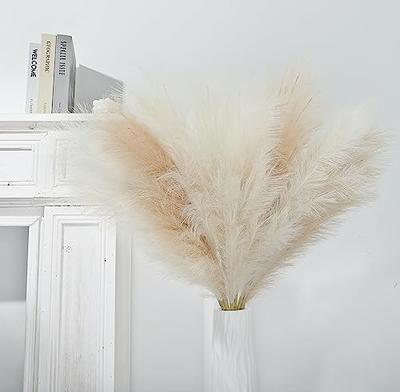 5pcs Artificial Pampas Grass Large Tall Fluffy Faux Bulrush Reed Grass for  Vase Filler Living Room Kitchen Wedding Boho Decor