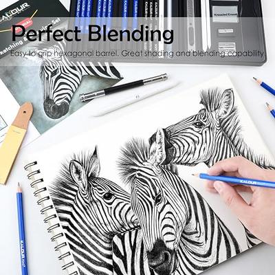 KALOUR Drawing Sketching Pencil Set, 36 Pro Art Pencil Kit, 12