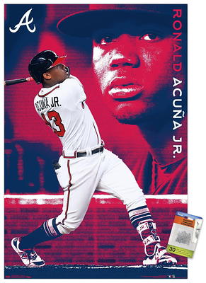 MLB Arizona Diamondbacks - Logo 22 Wall Poster with Push Pins, 14.725 x  22.375