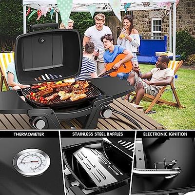 2-in-1 Portable Propane Grill 2 Burner Camping Gas Stove with Removable Leg  Black