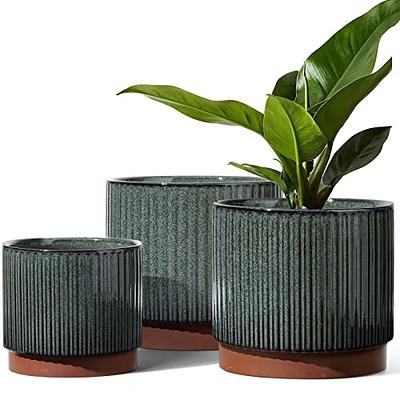 Plant&pot Outdoor Planters Mix - Brown & Amber Ceramic Succulent Pot - Set  of Four - Yahoo Shopping