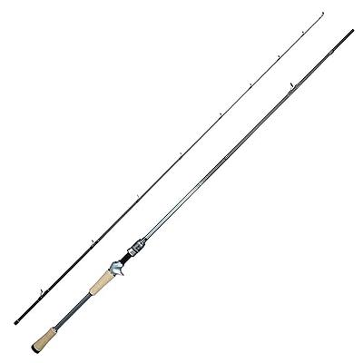 Tempo Sphera Fishing Rod, Ultra Light Fishing Spinning Rod, with Fuji Reel  Seat, 30Ton Carbon Blanks Fishing Poles, Strong Sensitive Action Fishing