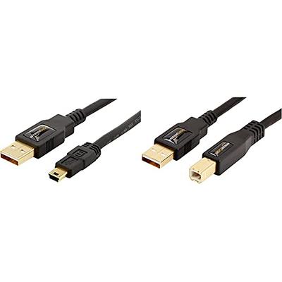   Basics USB-A to USB-B 2.0 Cable for Printer or External  Hard Drive, Gold-Plated Connectors, 10 Foot, Black