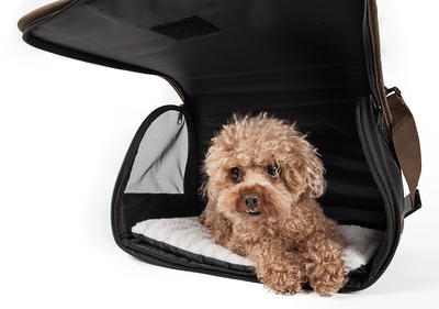 Pet Life Airline Approved 'Flightmax' Collapsible Pet Carrier