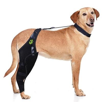 Lyderpet Dog Leg Brace for Rear Hock Joint, Compression Wrap Strong Support  Back Leg for Canine Torn Acl & Ccl, Hind Ankle Injury and Sprain Heals,  Keeps Warm and Stability for Arthritis (