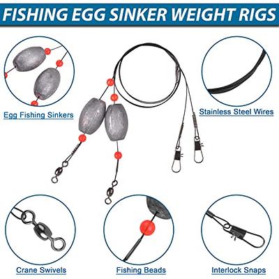 Fishing Egg Sinker Weight Rigs, Stainless Steel Fishing Wire Leaders with  Sinkers Fish Swivels and Snaps Flounder Rig Saltwater for Bottom Fishing  (4pcs, 2oz) - Yahoo Shopping