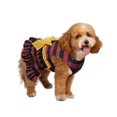 Fashionable Designer Dog Clothes: Buying New Clothes That Are