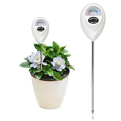 Houseplant Moisture Meter: Water Your Houseplants With Confidence