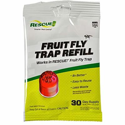TERRO T2503SR Ready-to-Use Indoor Fruit Fly Killer and Trap with