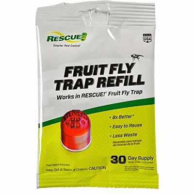 TERRO T2503SR Ready-To-Use Indoor Fruit Fly Killer and Trap with Built in  Window