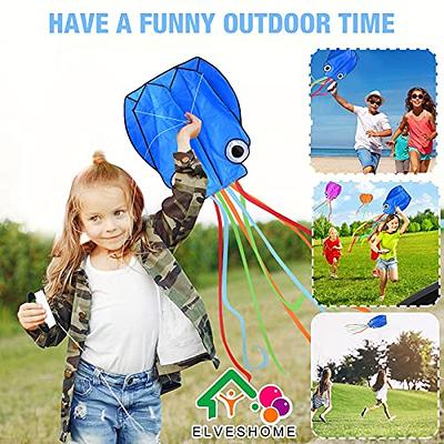 TOY Life - 2 Pack Kites for Kids Easy to Fly - Kites for Adults - Outdoor  Games and Activities Large Kites for Kids Ages 4-8 - Kids Kite for Beach -  Giant Easy Fly Plane Kites