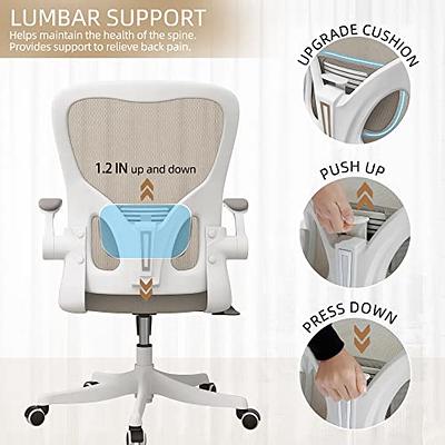 Back Support Chairs for Back Pain