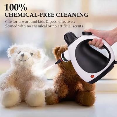 Handheld Steam Cleaner