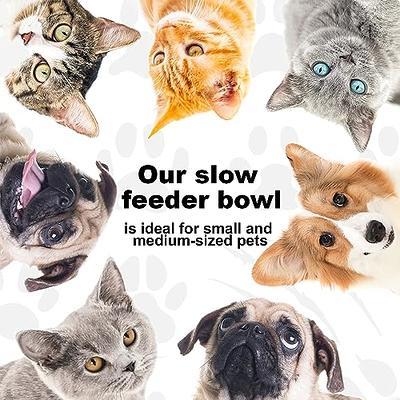 Slow Feeder Dog Bowls Slow Feeding Dog Bowl Small Medium Breed Dog