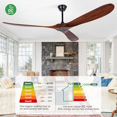 60 inch Outdoor Ceiling Fan Without Light, 3 Blade Modern Ceiling Fan No  Light, DC Motor Wood Ceiling Fans with Remote ​for Indoor Bedroom Living  Room