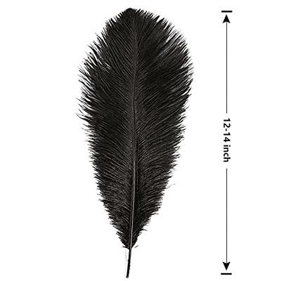 THARAHT Black Ostrich Feathers 12pcs Large Natural Bulk 12-14Inch 30cm-35cm  for Wedding Party Centerpieces Halloween and Home Decoration Feathers -  Yahoo Shopping