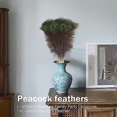 Natural Peacock Feathers 30-35 Inches Long (20 Pcs per Bundle)