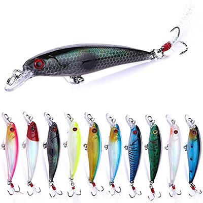 Fishing Lures Hard Bait Minnow Swimbait Crankbait Jerkbait Popper Topwater  Lures with Treble Hooks 3D Eyes Freshwater Saltwater Fishing Lures for Bass  Trout Walleye Pike Catfish - Yahoo Shopping