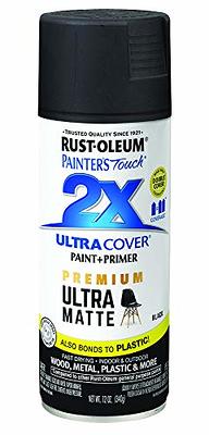Rust-Oleum Painter's Touch 2X Ultra Cover Flat Gray Paint+Primer Spray Paint  12 oz - Ace Hardware