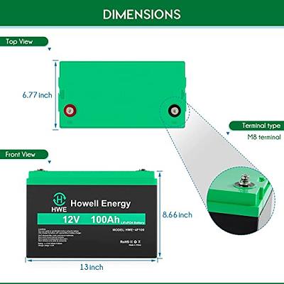 DJLBERMPW 12.8V 100Ah (1 Pack) LiFePO4 Battery Built-in 100A BMS Lithium  Battery 12V 1280Wh Lithium Batteries 10-Year Lifetime, Perfect for Trolling