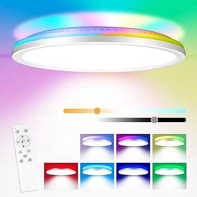 RGB Flush Mount Ceiling Light Dimmable with Remote Control, 24W 2520lm Color  Changing Ceiling Light Fixture, 3000K-6500K, 12Inch Led Ceiling Lamp for  Bedroom Kitchen Hallway Party Living Room (wired) - Yahoo Shopping