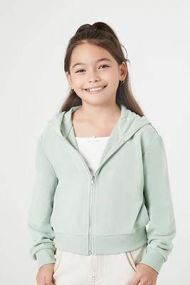 Gymboree Boys' and Toddler Long Sleeve Zip Up Hoodie