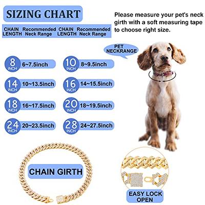  Dog Martingale Collar Metal Gold Chain Collar with Design  Secure Buckle and Bell 18K Cuban Link 14MM Strong Chew Proof Walking  Training Slip Collar for Medium Dogs(20) : Pet Supplies
