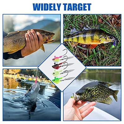 10pcs Jig Heads Walleye Fishing Jig Hook Underspin for Trout Bass Crappie