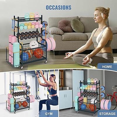 Home gym 2025 storage rack