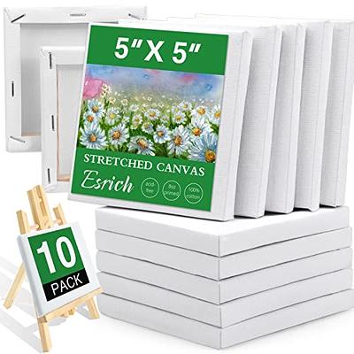 ESRICH Stretched Canvases for Painting 8x10, 10 Pack 8x10 Canvas