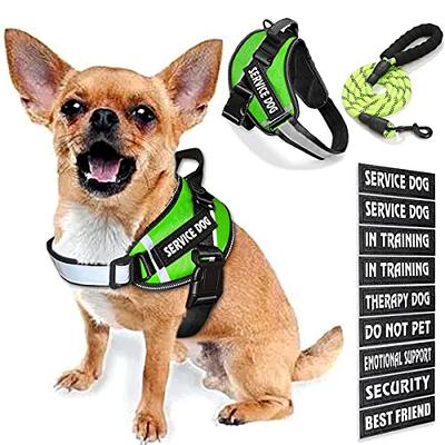 DO NOT PET” Velcro Patches – Ridgeside K9 Dog Training Supplies