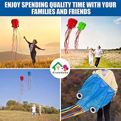 Large, Easy to Fly Kites for The Beach, Backyard, Park!