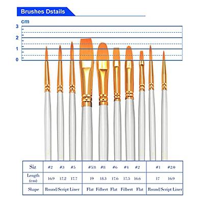 BOSOBO Paint Brushes Set, 2 Pack 20 Pcs Round Pointed Tip Paintbrushes  Nylon Hair Artist Acrylic Paint Brushes for Acrylic Oil Watercolor, Face  Nail Art, Miniature Detailing & Rock Painting, White - Yahoo Shopping