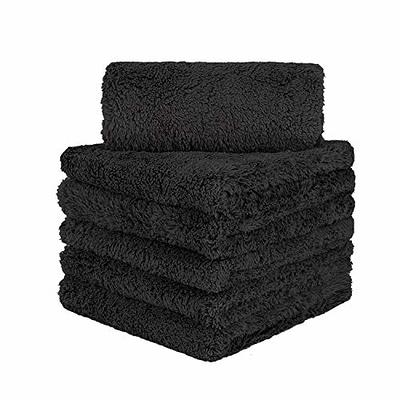 Dry Shine Waterless Car Wash and Wax 2-Pack Plus 4 Dual Pile Microfiber Towels