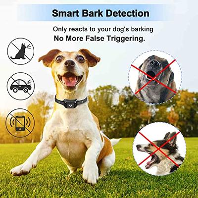  Citronella Bark Collar Waterproof IPX67, Spray Bark Collar  with 3 Adjustable Spray & Sensitivity Level, Rechargeable Citronella Dog  Collar, Humane Anti Barking Collar for Small Medium Large Dogs : Pet  Supplies