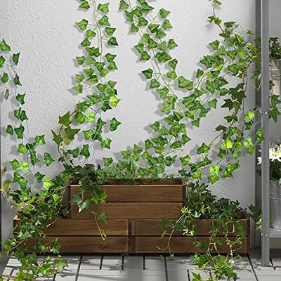 CQURE 24 Pack 168Ft Artificial Ivy Fake Vines,Ivy Garland Greenery Garland  Fake Hanging Plants Vines Aesthetic Green Leaves for Bedroom Wedding Party  Garden Wall Room Decor - Yahoo Shopping