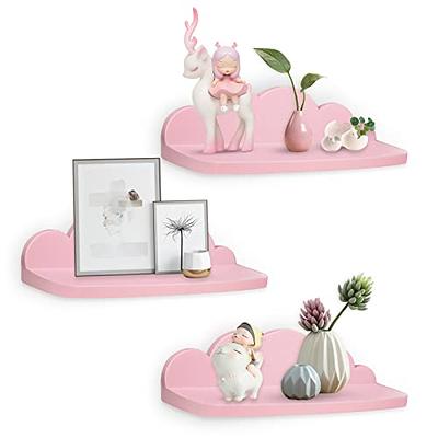 Great Choice Products Small Adhesive Wall Shelves Acrylic Display Shelf  Mini Floating Shelves Pop Shelves Hanging