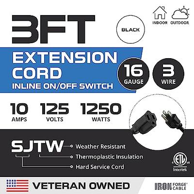 Iron Forge Cable 3 Ft Black Outdoor Extension Cord with IP65