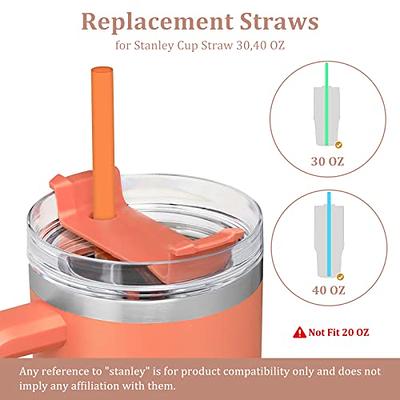 Reusable Straw for Stanley 40 30oz Adventure Quencher Travel Tumbler 6Pack,  Reusable Clear Straws with Cleaning Brush,W/2 Pink Silicone Boot - Yahoo  Shopping