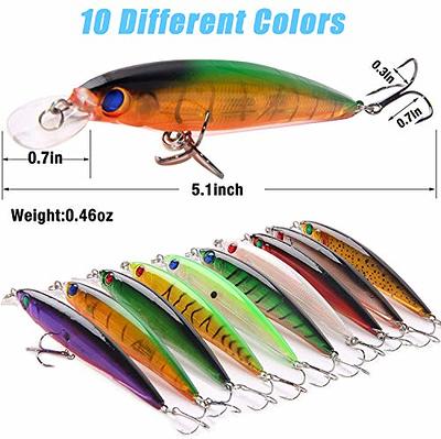 Fishing Lures Hard Bait Minnow Swimbait Crankbait Jerkbait Popper Topwater  Lures with Treble Hooks 3D Eyes Freshwater Saltwater Fishing Lures for Bass  Trout Walleye Pike Catfish - Yahoo Shopping